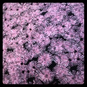 LULAROE TC EUC BLACK PINK LEGGINGS